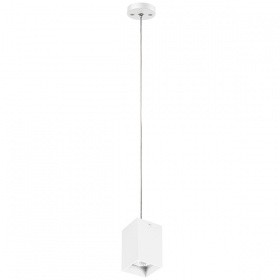 Подвесной светильник Lightstar RULLO RP336 (216336+590256)