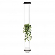 Подвесной светильник Loft IT Jardin 10121/1P Dark grey