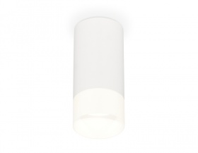 Потолочный светильник Ambrella Light Techno Spot XS8161003 (C8161, N8402)