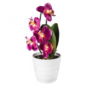 Настольная лампа Globo Orphelia 28022P