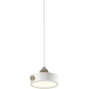 Подвесной светильник Ritter Scandia 52077 1