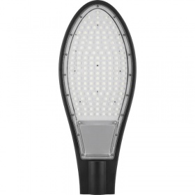 Уличный светодиодный консольный светильник Feron SP2926 32218