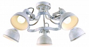 Потолочная люстра Arte Lamp Martin A5216PL-5WG