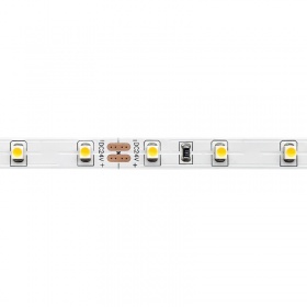 Светодиодная лента ST Luce ST016 ST016.305.20
