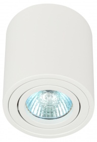Накладной светильник Эра OL21 WH Б0054392