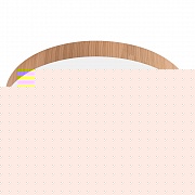 Потолочный светильник Feron AL1600 51111