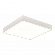 Потолочный светильник ST Luce ST608.542.96